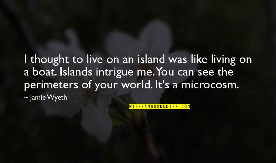 Can U See Me Quotes By Jamie Wyeth: I thought to live on an island was