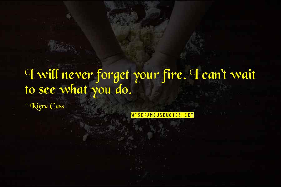 Can Wait To See You Quotes By Kiera Cass: I will never forget your fire. I can't
