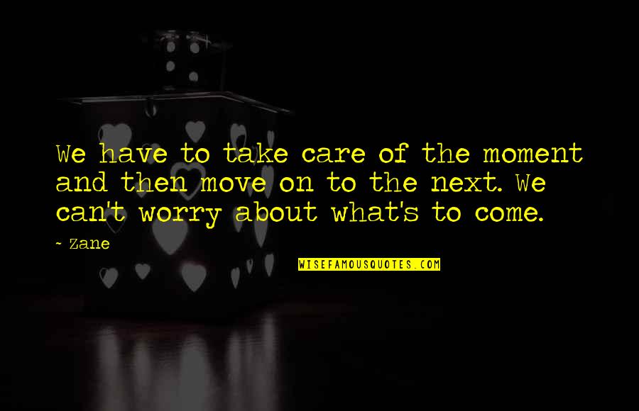 Can We Move On Quotes By Zane: We have to take care of the moment