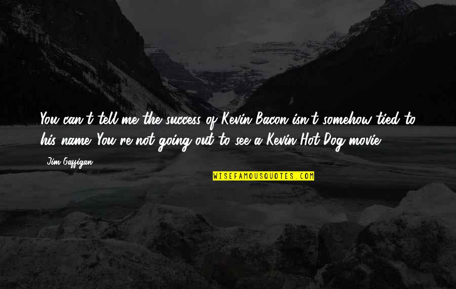 Can You See Me Quotes By Jim Gaffigan: You can't tell me the success of Kevin