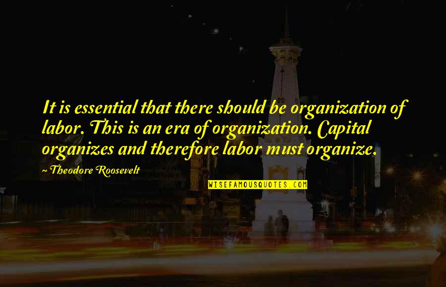 Canaan Quotes By Theodore Roosevelt: It is essential that there should be organization