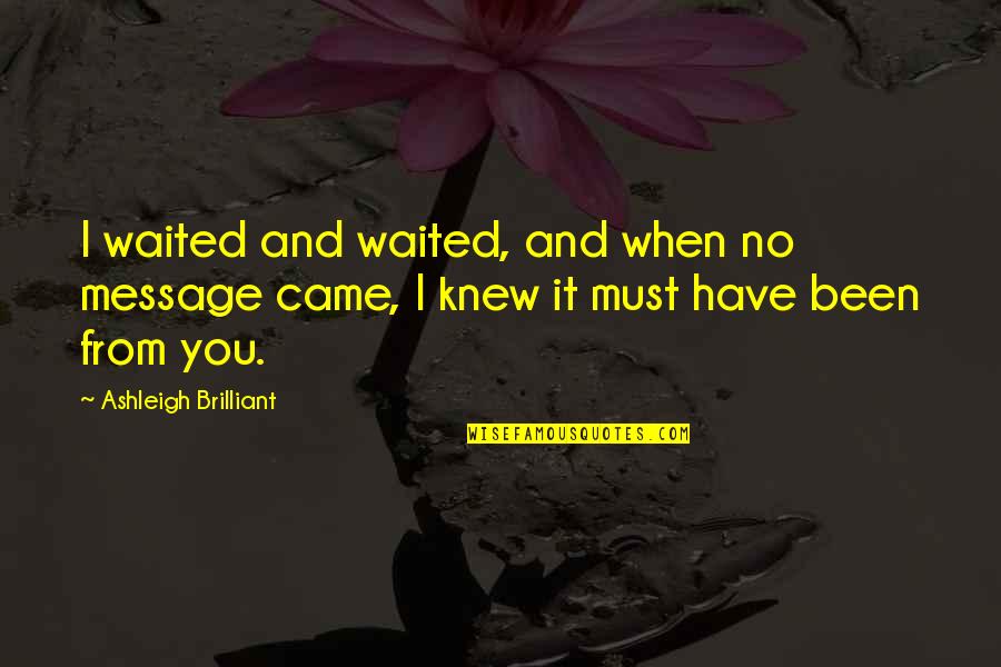 Canaux De Communication Quotes By Ashleigh Brilliant: I waited and waited, and when no message