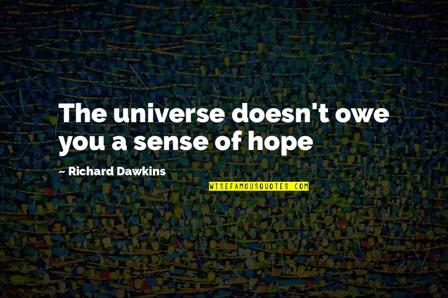 Canavar Kamyon Quotes By Richard Dawkins: The universe doesn't owe you a sense of Canavar Kamyon Quotes By Richard Dawkins: The universe doesn't owe you a sense of