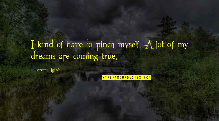 Canawise Quotes By Jarome Iginla: I kind of have to pinch myself. A