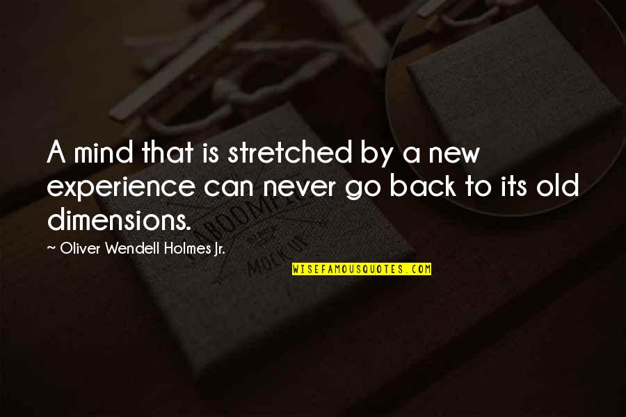 Canballini Quotes By Oliver Wendell Holmes Jr.: A mind that is stretched by a new
