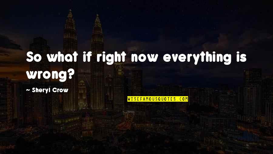 Canberk Uregel Quotes By Sheryl Crow: So what if right now everything is wrong? Canberk Uregel Quotes By Sheryl Crow: So what if right now everything is wrong?
