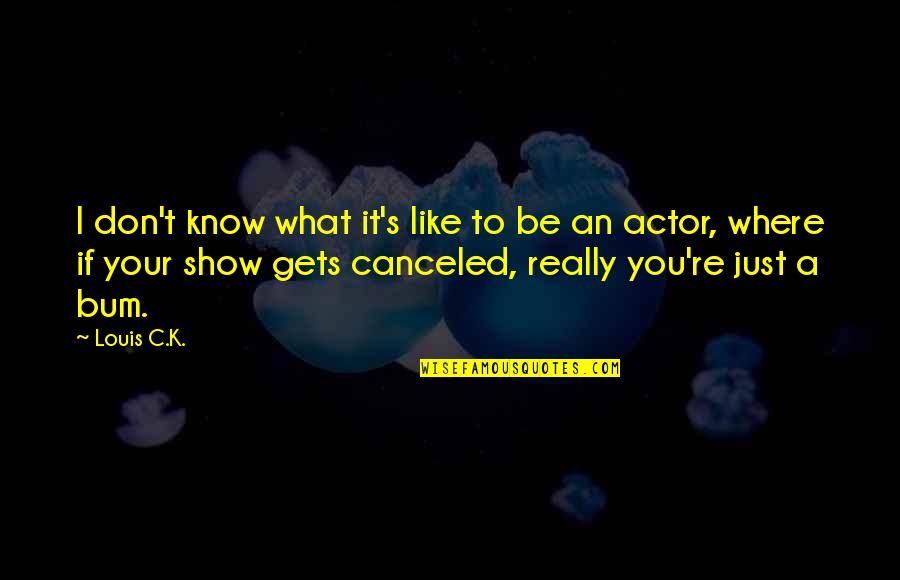 Canceled Quotes By Louis C.K.: I don't know what it's like to be