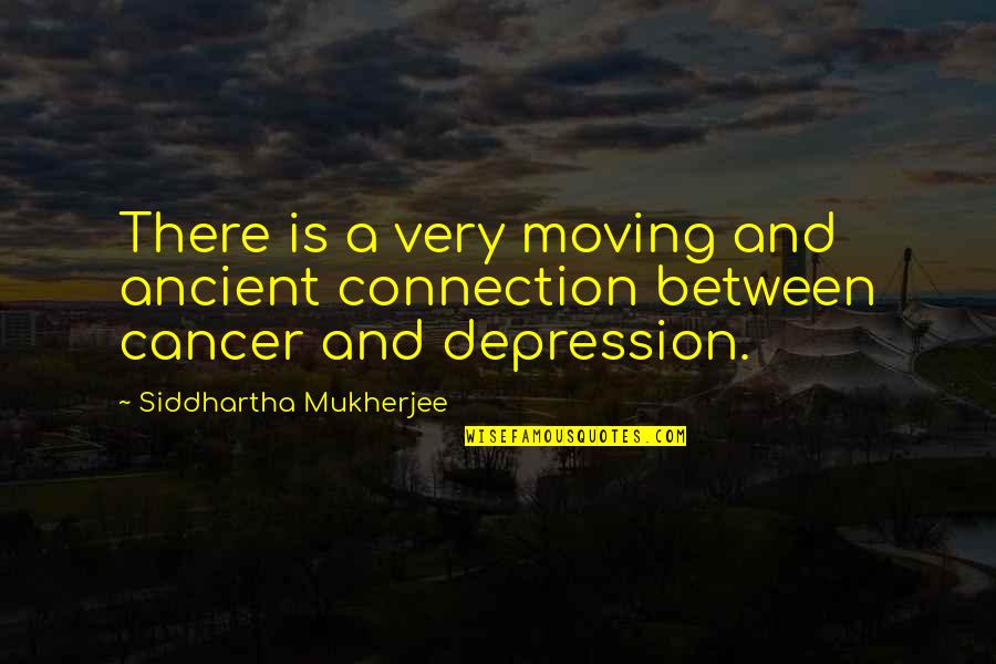 Cancer And Depression Quotes By Siddhartha Mukherjee: There is a very moving and ancient connection