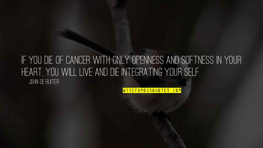 Cancer And Quotes By John De Ruiter: If you die of cancer with only openness