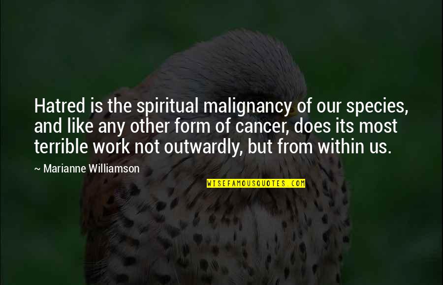 Cancer And Quotes By Marianne Williamson: Hatred is the spiritual malignancy of our species,
