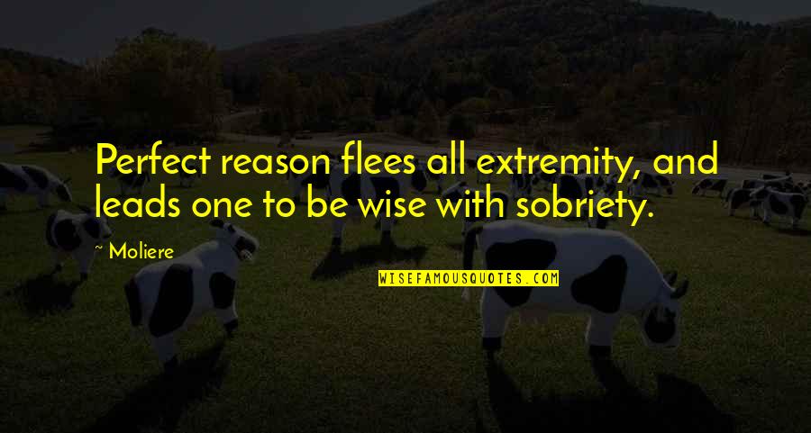 Cancer Beating Quotes By Moliere: Perfect reason flees all extremity, and leads one