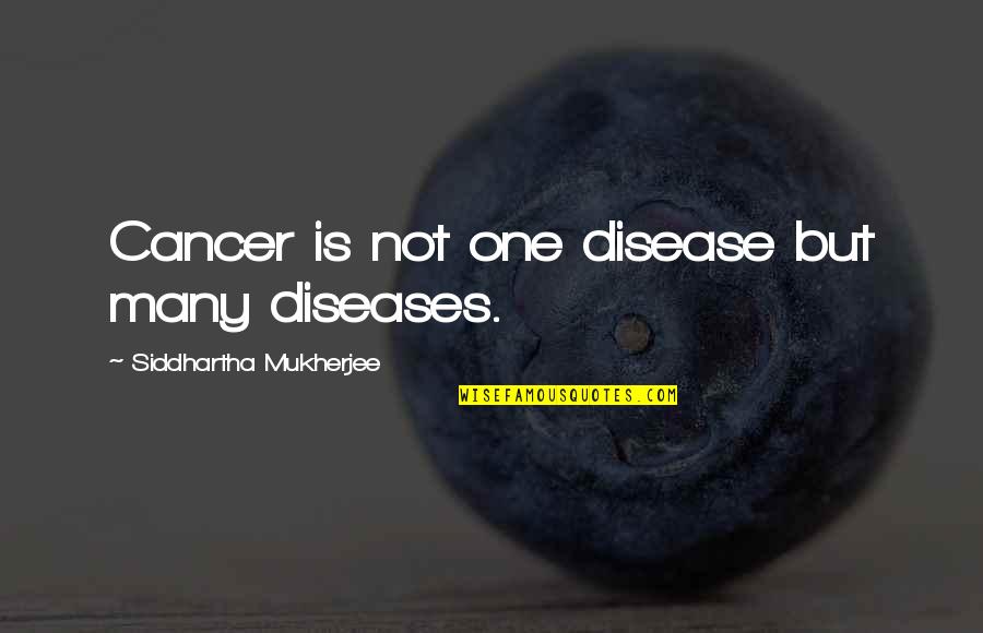 Cancer Disease Quotes By Siddhartha Mukherjee: Cancer is not one disease but many diseases.