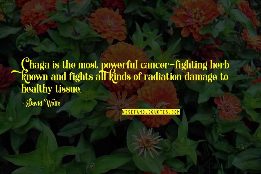 Cancer Fighting Quotes By David Wolfe: Chaga is the most powerful cancer-fighting herb known