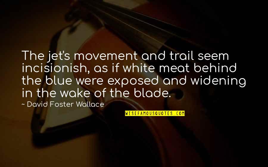 Cancer The Fault In Our Stars Quotes By David Foster Wallace: The jet's movement and trail seem incisionish, as Cancer The Fault In Our Stars Quotes By David Foster Wallace: The jet's movement and trail seem incisionish, as