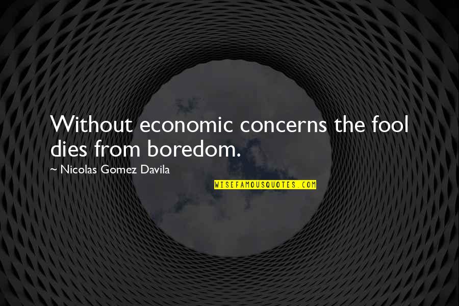 Cancian De La Quotes By Nicolas Gomez Davila: Without economic concerns the fool dies from boredom.