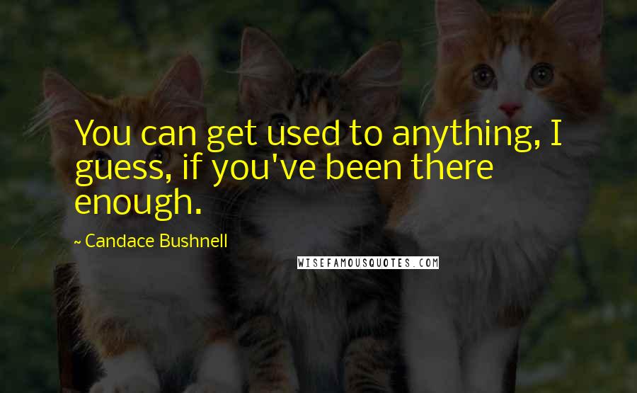 Candace Bushnell quotes: You can get used to anything, I guess, if you've been there enough.