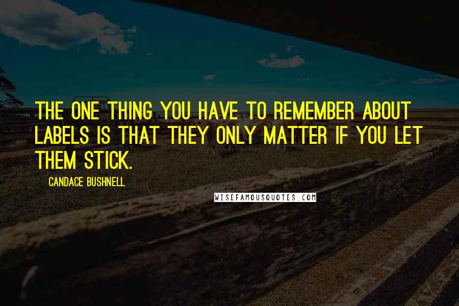 Candace Bushnell quotes: The one thing you have to remember about labels is that they only matter if you let them stick.