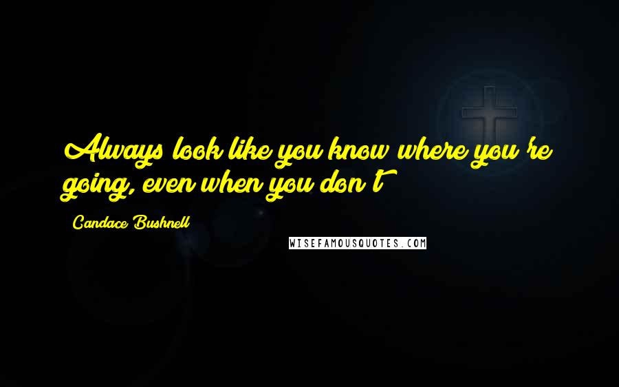 Candace Bushnell quotes: Always look like you know where you're going, even when you don't