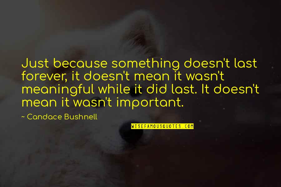 Candace Bushnell Quotes By Candace Bushnell: Just because something doesn't last forever, it doesn't