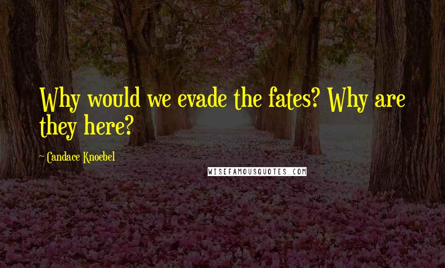 Candace Knoebel quotes: Why would we evade the fates? Why are they here?