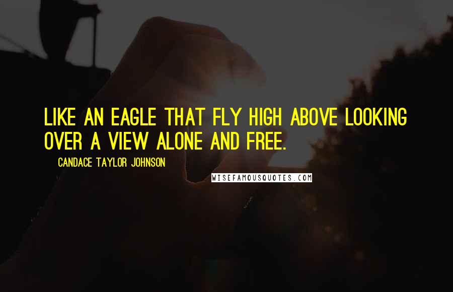 Candace Taylor Johnson quotes: Like An Eagle That Fly High Above Looking Over A View Alone And Free.