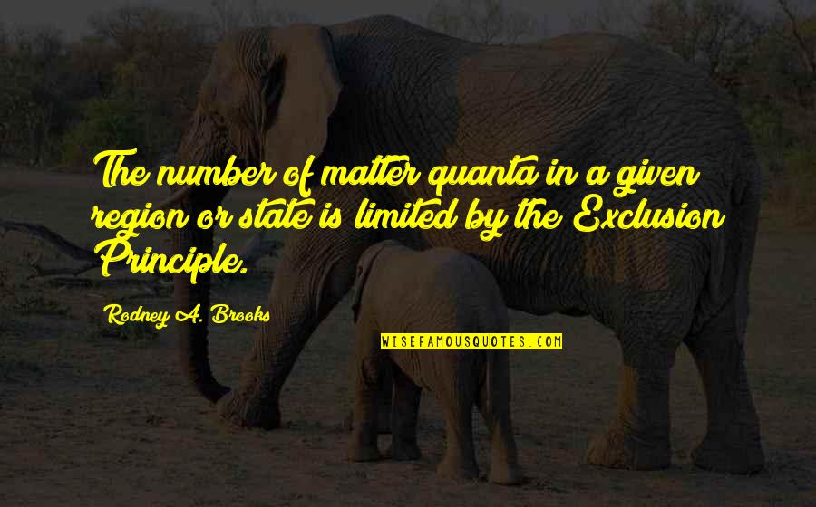 Candaces Best Quotes By Rodney A. Brooks: The number of matter quanta in a given Candaces Best Quotes By Rodney A. Brooks: The number of matter quanta in a given