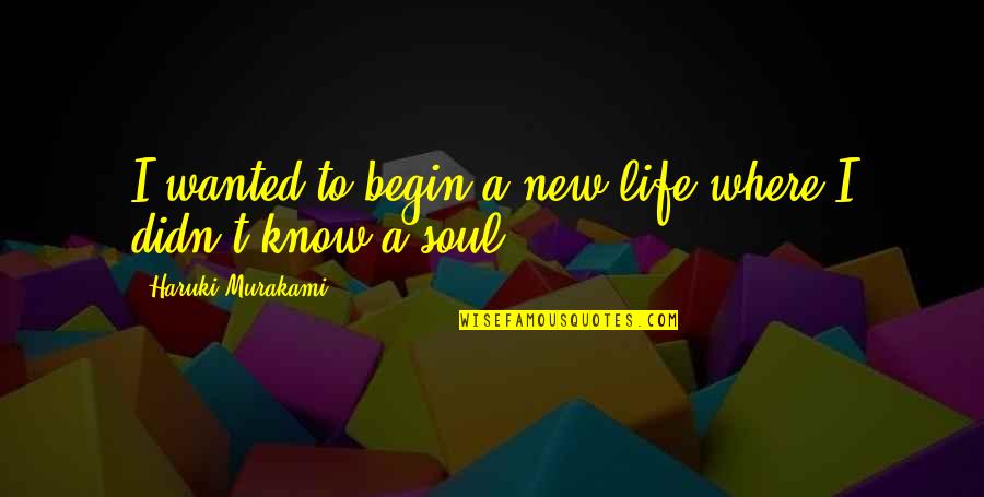 Candelas Hoa Quotes By Haruki Murakami: I wanted to begin a new life where Candelas Hoa Quotes By Haruki Murakami: I wanted to begin a new life where