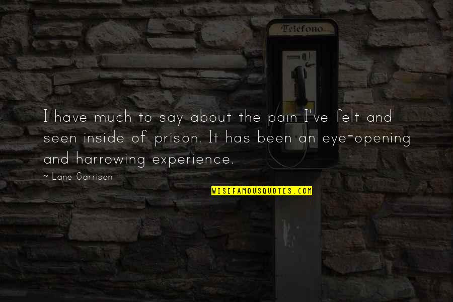 Candelores Quotes By Lane Garrison: I have much to say about the pain Candelores Quotes By Lane Garrison: I have much to say about the pain