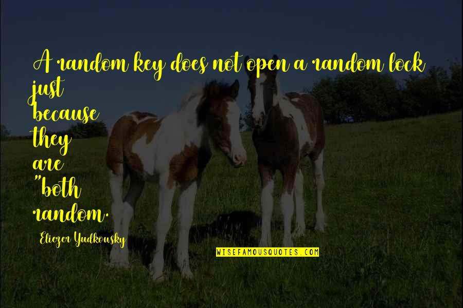 Candelori Quotes By Eliezer Yudkowsky: A random key does not open a random Candelori Quotes By Eliezer Yudkowsky: A random key does not open a random