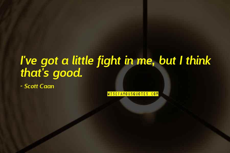Candi Cdebaca Quotes By Scott Caan: I've got a little fight in me, but