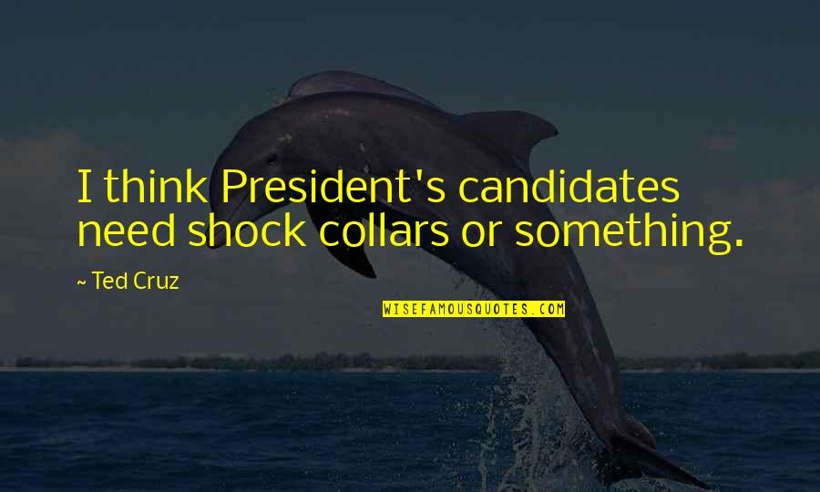 Candidates Quotes By Ted Cruz: I think President's candidates need shock collars or