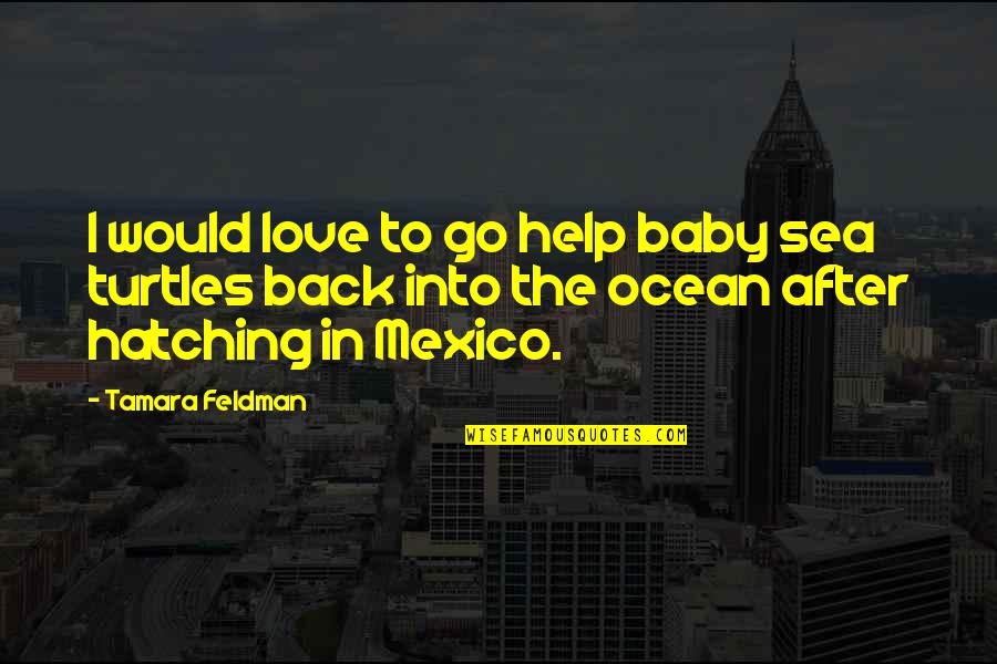 Candidness And Honesty Quotes By Tamara Feldman: I would love to go help baby sea Candidness And Honesty Quotes By Tamara Feldman: I would love to go help baby sea