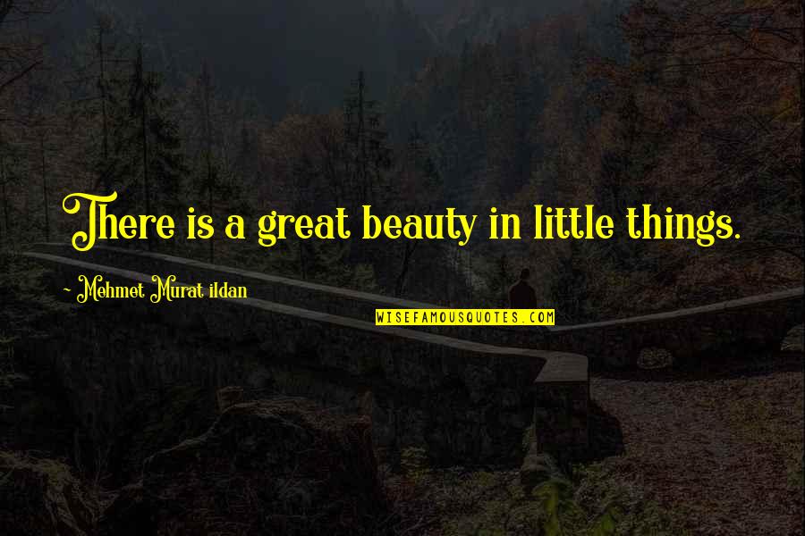 Candus Houchin Quotes By Mehmet Murat Ildan: There is a great beauty in little things.