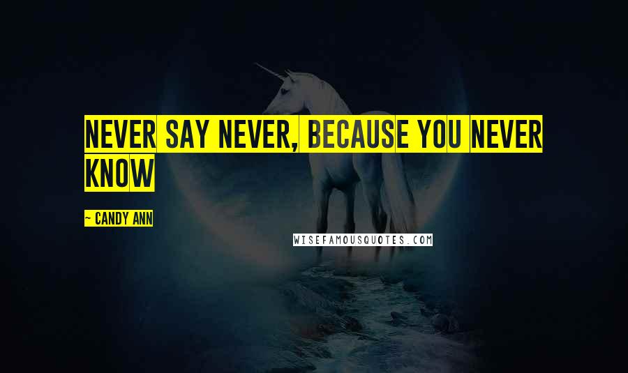 Candy Ann quotes: Never say never, because you never know