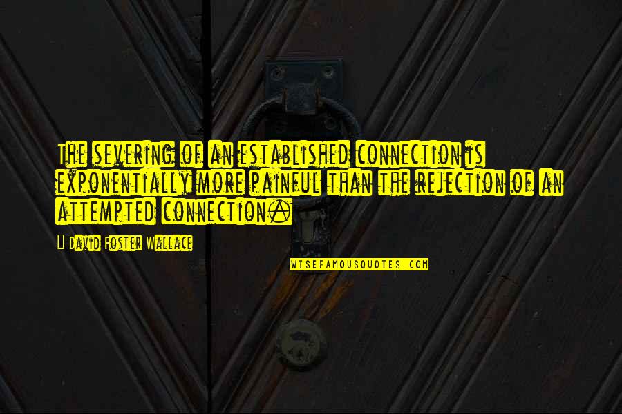 Candy Canaday Quotes By David Foster Wallace: The severing of an established connection is exponentially Candy Canaday Quotes By David Foster Wallace: The severing of an established connection is exponentially
