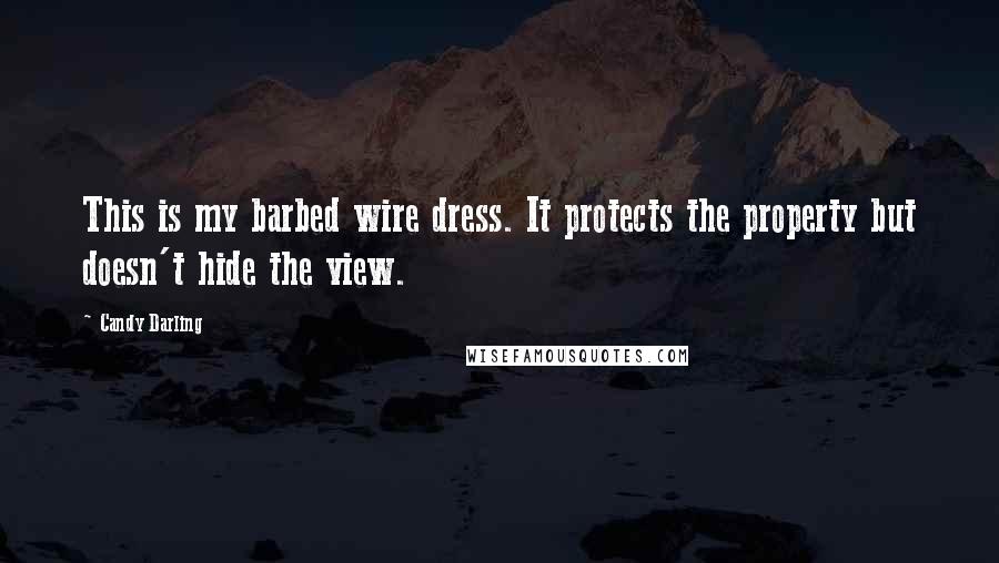 Candy Darling quotes: This is my barbed wire dress. It protects the property but doesn't hide the view.