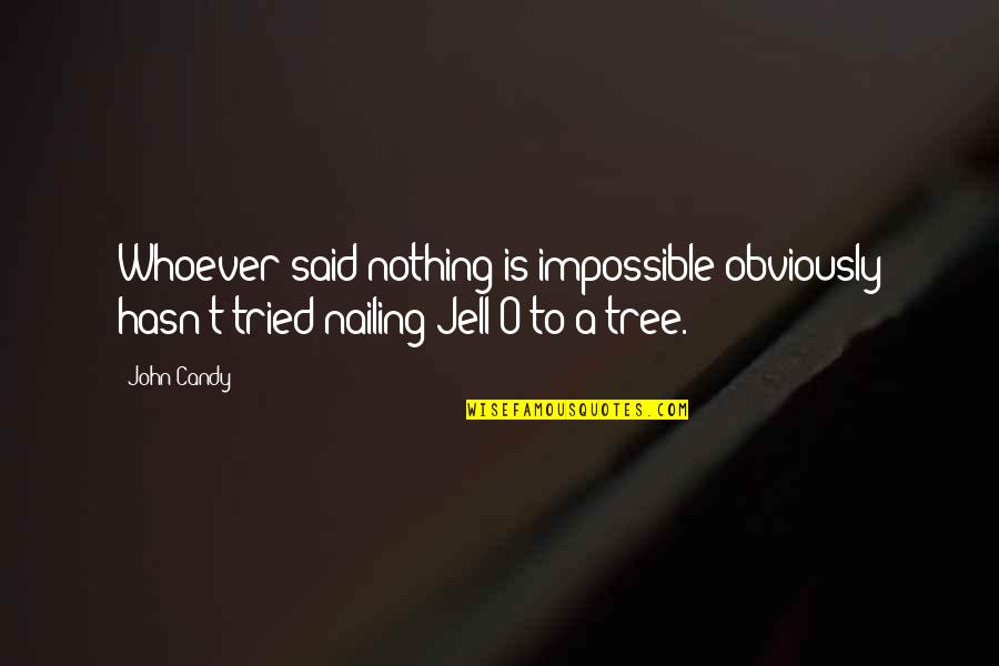 Candy Quotes By John Candy: Whoever said nothing is impossible obviously hasn't tried