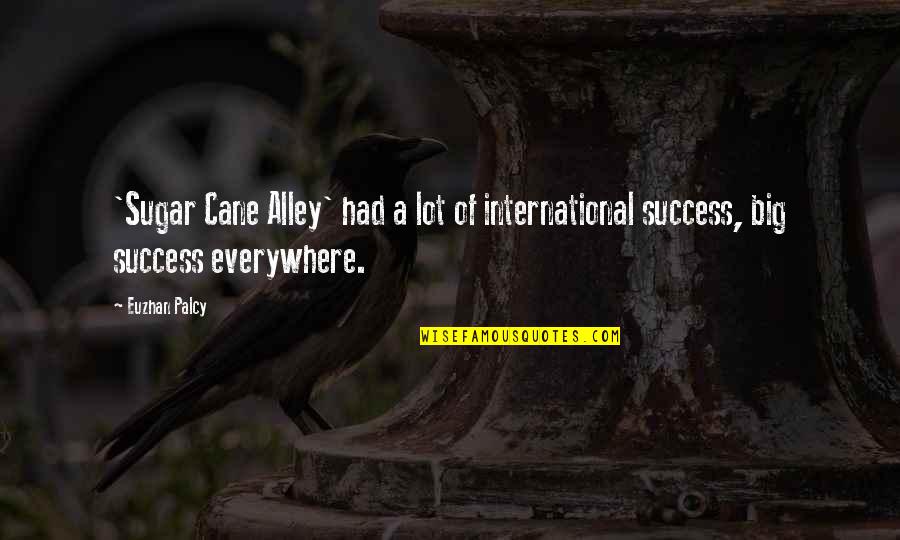 Cane Quotes By Euzhan Palcy: 'Sugar Cane Alley' had a lot of international