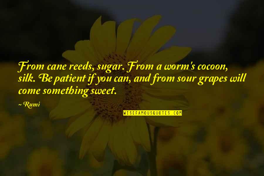 Cane Quotes By Rumi: From cane reeds, sugar. From a worm's cocoon,