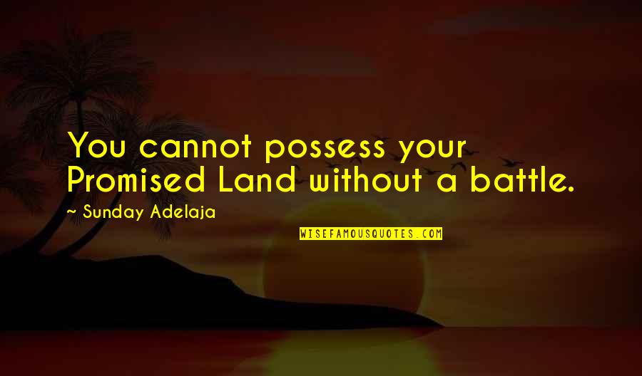 Cane Toad Quotes By Sunday Adelaja: You cannot possess your Promised Land without a
