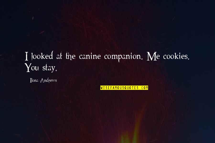 Canine Quotes By Ilona Andrews: I looked at the canine companion. Me cookies.