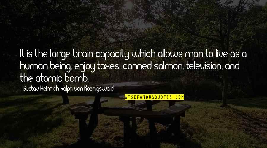 Canned Quotes By Gustav Heinrich Ralph Von Koenigswald: It is the large brain capacity which allows