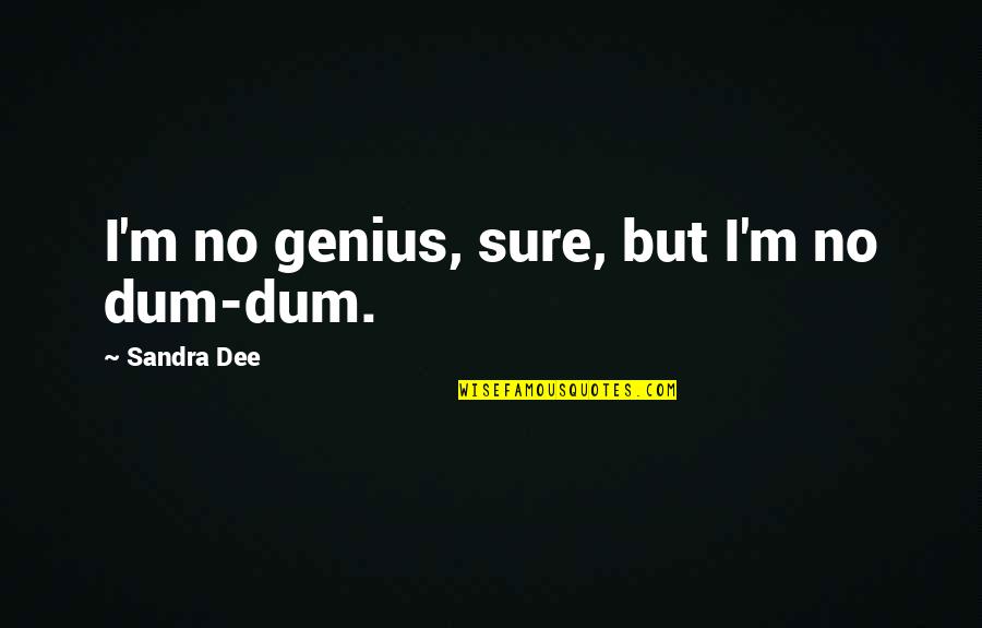 Cannelle Bakery Quotes By Sandra Dee: I'm no genius, sure, but I'm no dum-dum. Cannelle Bakery Quotes By Sandra Dee: I'm no genius, sure, but I'm no dum-dum.