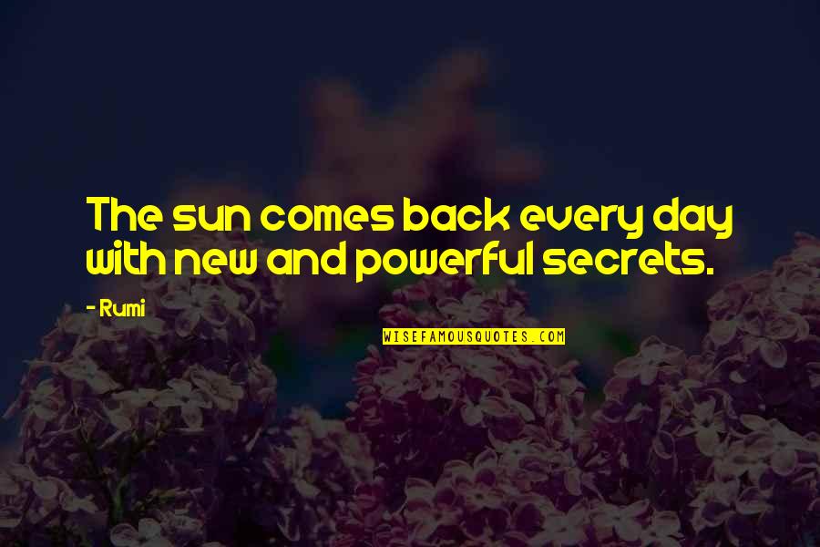 Cannitol Quotes By Rumi: The sun comes back every day with new