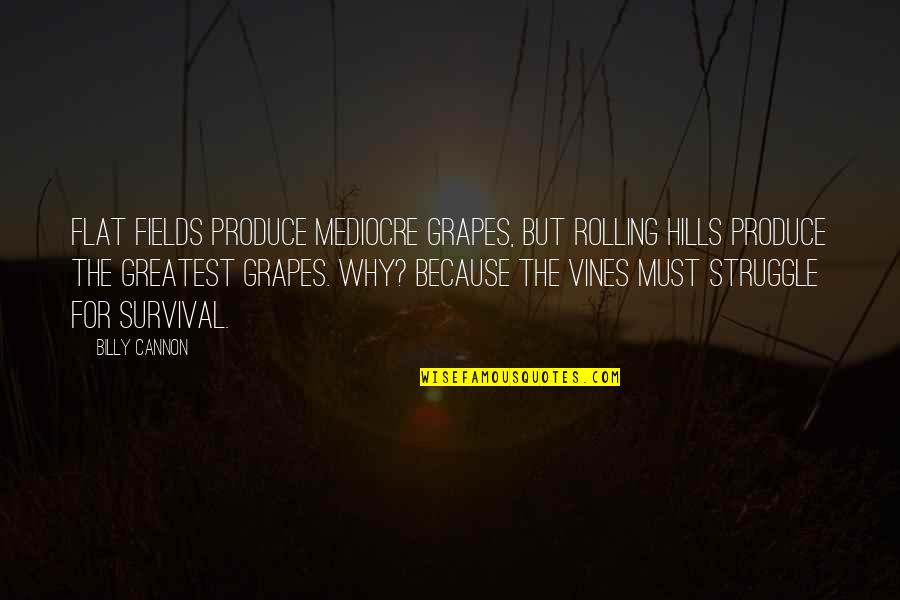 Cannon Quotes By Billy Cannon: Flat fields produce mediocre grapes, but rolling hills Cannon Quotes By Billy Cannon: Flat fields produce mediocre grapes, but rolling hills
