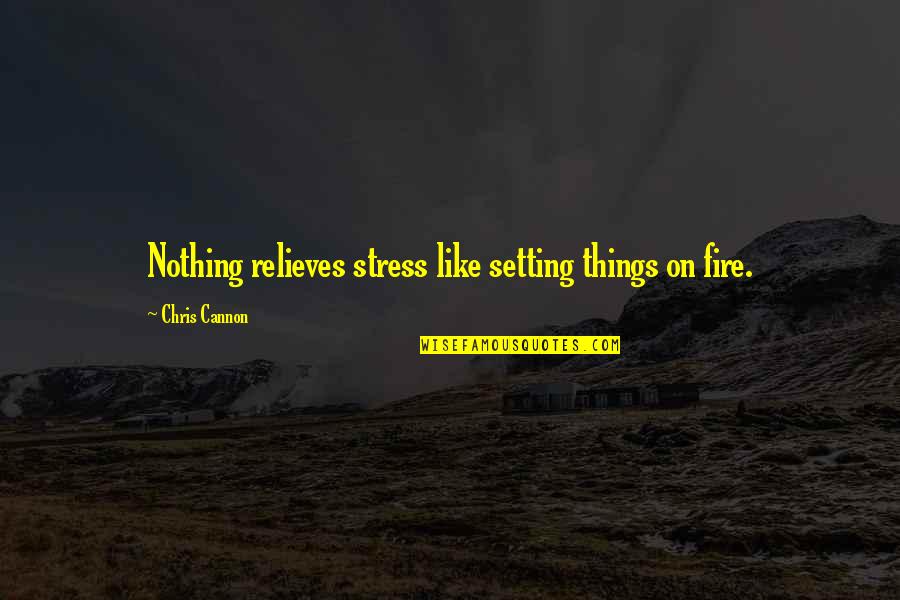 Cannon Quotes By Chris Cannon: Nothing relieves stress like setting things on fire. Cannon Quotes By Chris Cannon: Nothing relieves stress like setting things on fire.