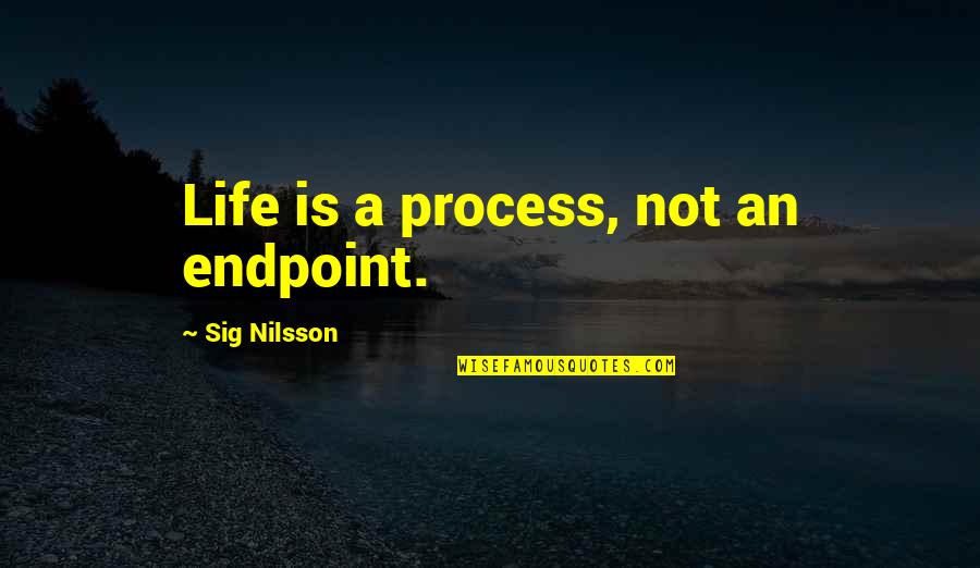 Cannonballs For Sale Quotes By Sig Nilsson: Life is a process, not an endpoint.