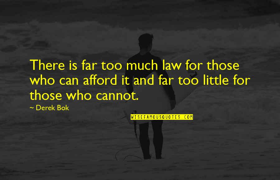 Cannot Afford Quotes By Derek Bok: There is far too much law for those