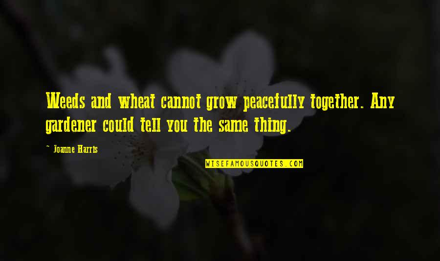 Cannot Be Together Quotes By Joanne Harris: Weeds and wheat cannot grow peacefully together. Any