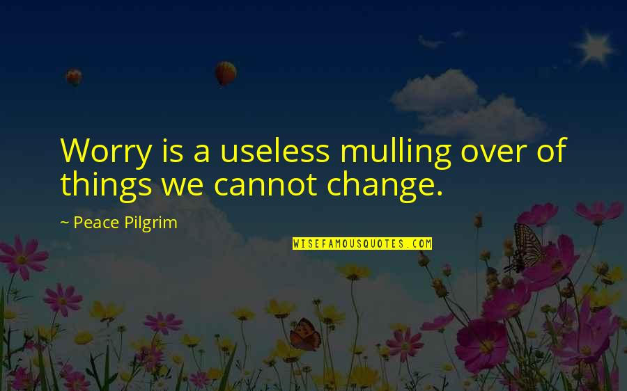 Cannot Change Quotes By Peace Pilgrim: Worry is a useless mulling over of things